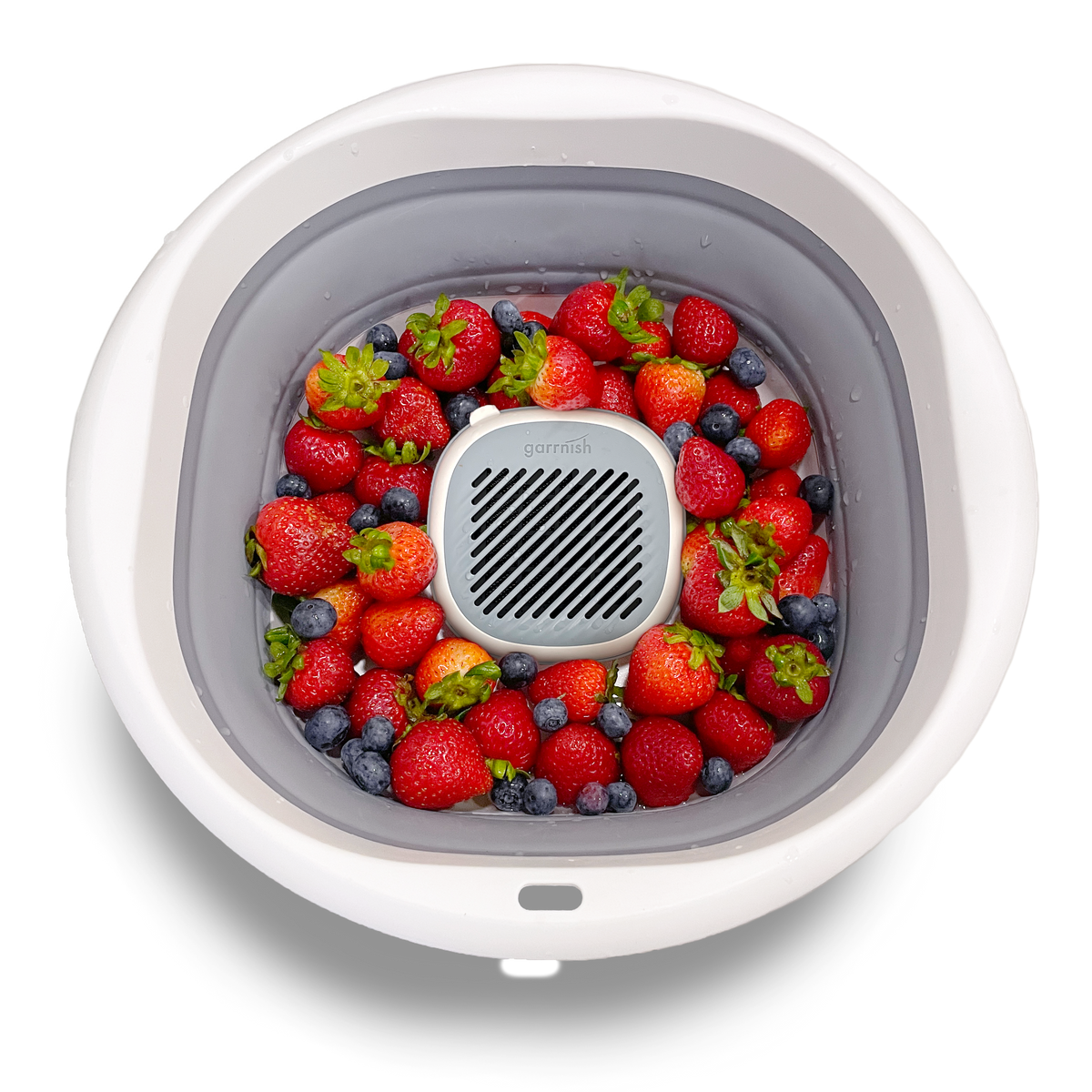 Garrnish Pesticide Purifier 2R Bundle with XL Tub